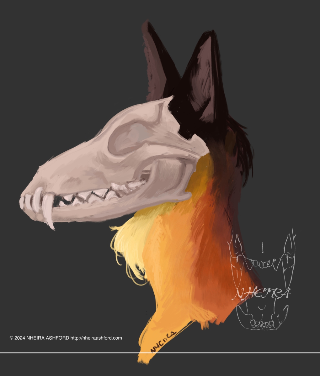 A portrait of a character that has a bare fox skull and pointed, furred ears and is drawn in a side profile. His colors range from a soft yellow to a deep orange, to an almost black.